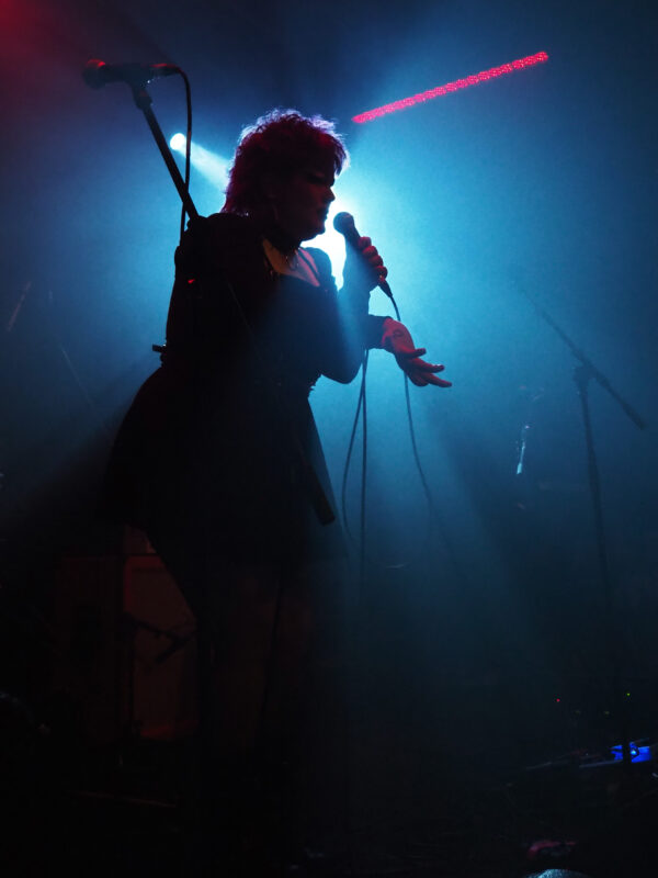 BIMM Live